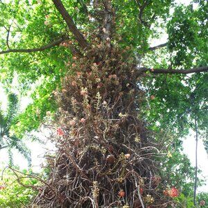 Meet your Posher, M.M.